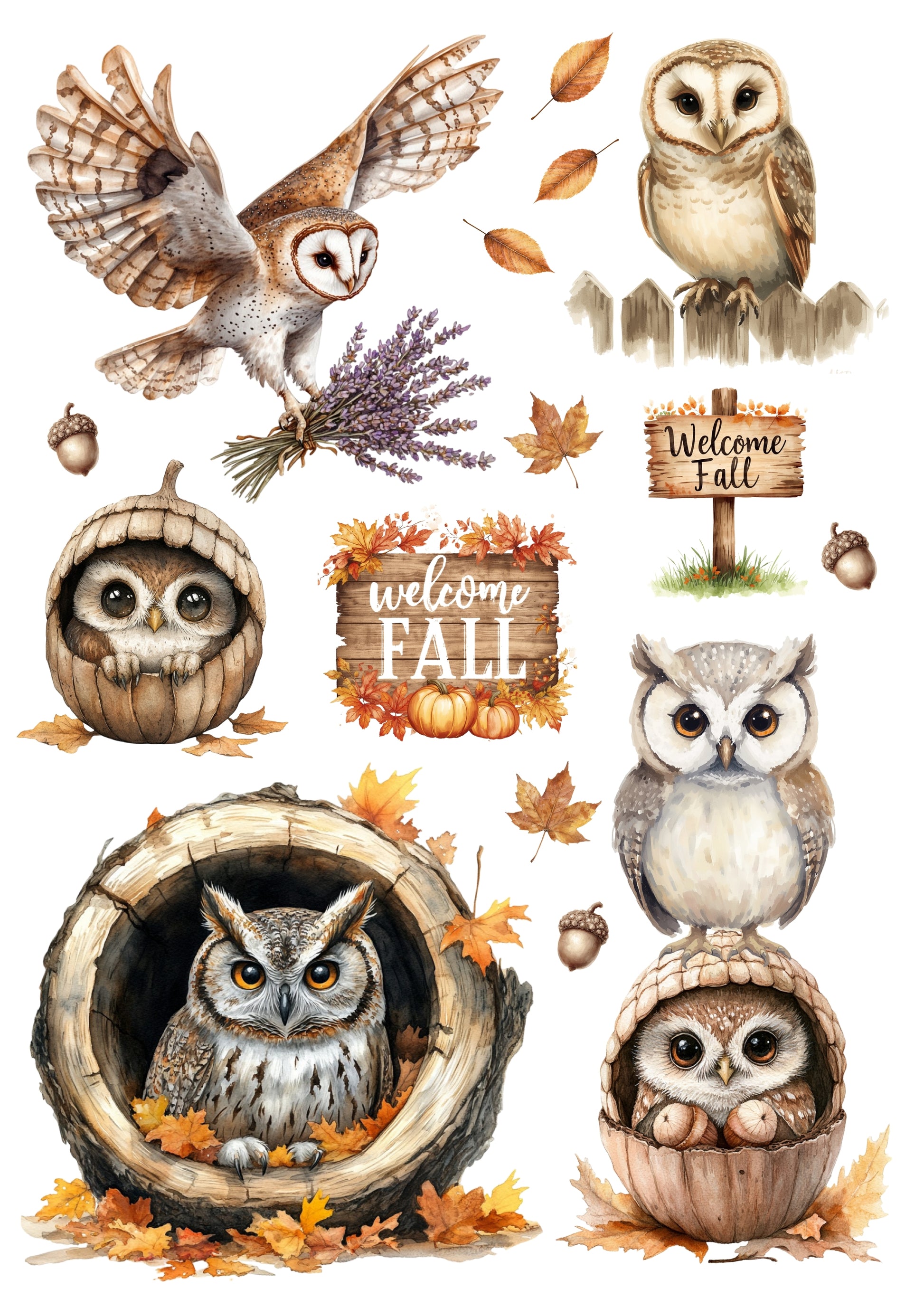 Wet Transfers A4- Autumn Owls