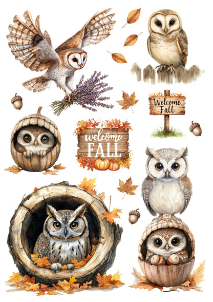 Wet Transfers A4- Autumn Owls