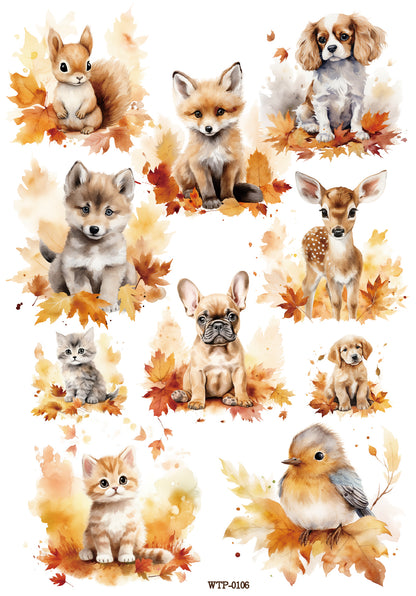 Wet Transfers A4- Baby Animals in Autumn