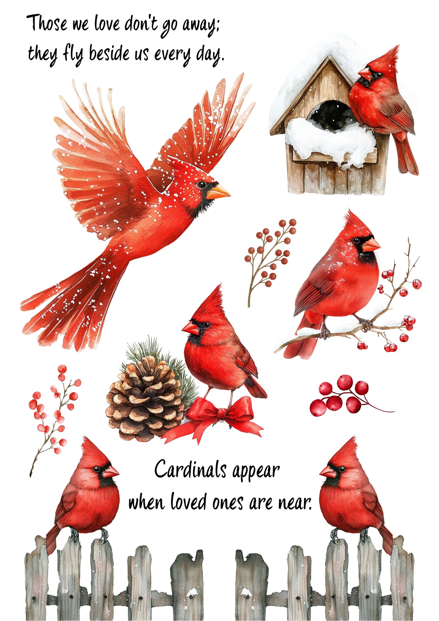 Wet Transfers A4- Cardinals Appear