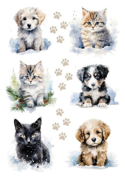 Wet Transfers A4- Cute Baby Pets