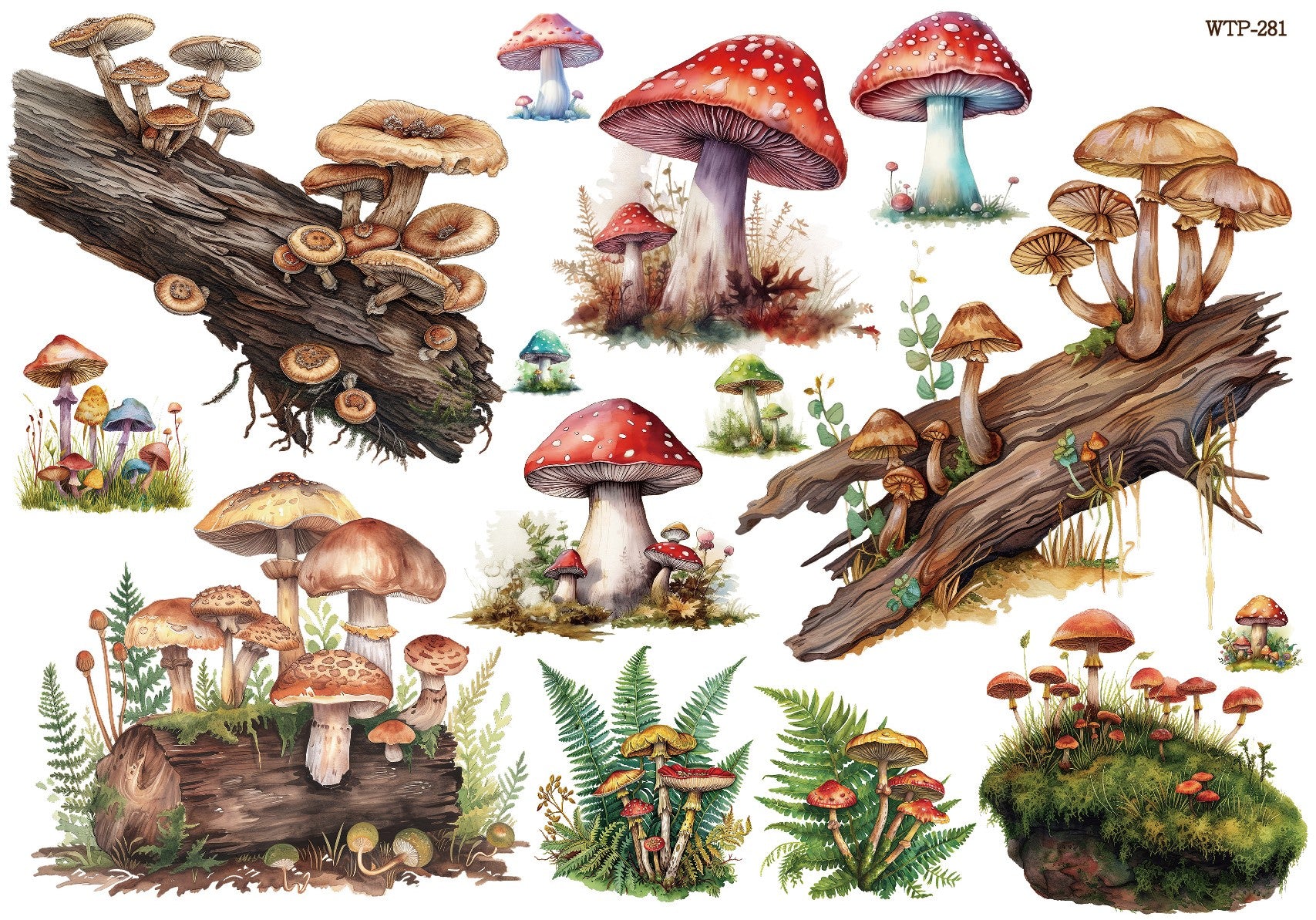 Wet Transfers A4- Forest Mushrooms