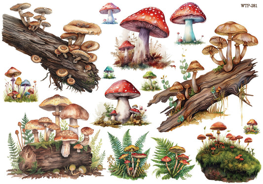 Wet Transfers A4- Forest Mushrooms