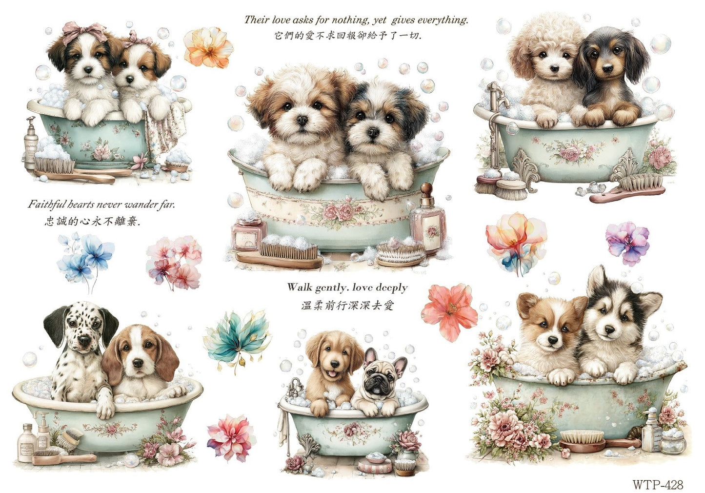 Wet Transfers A4- Puppy Bath Time
