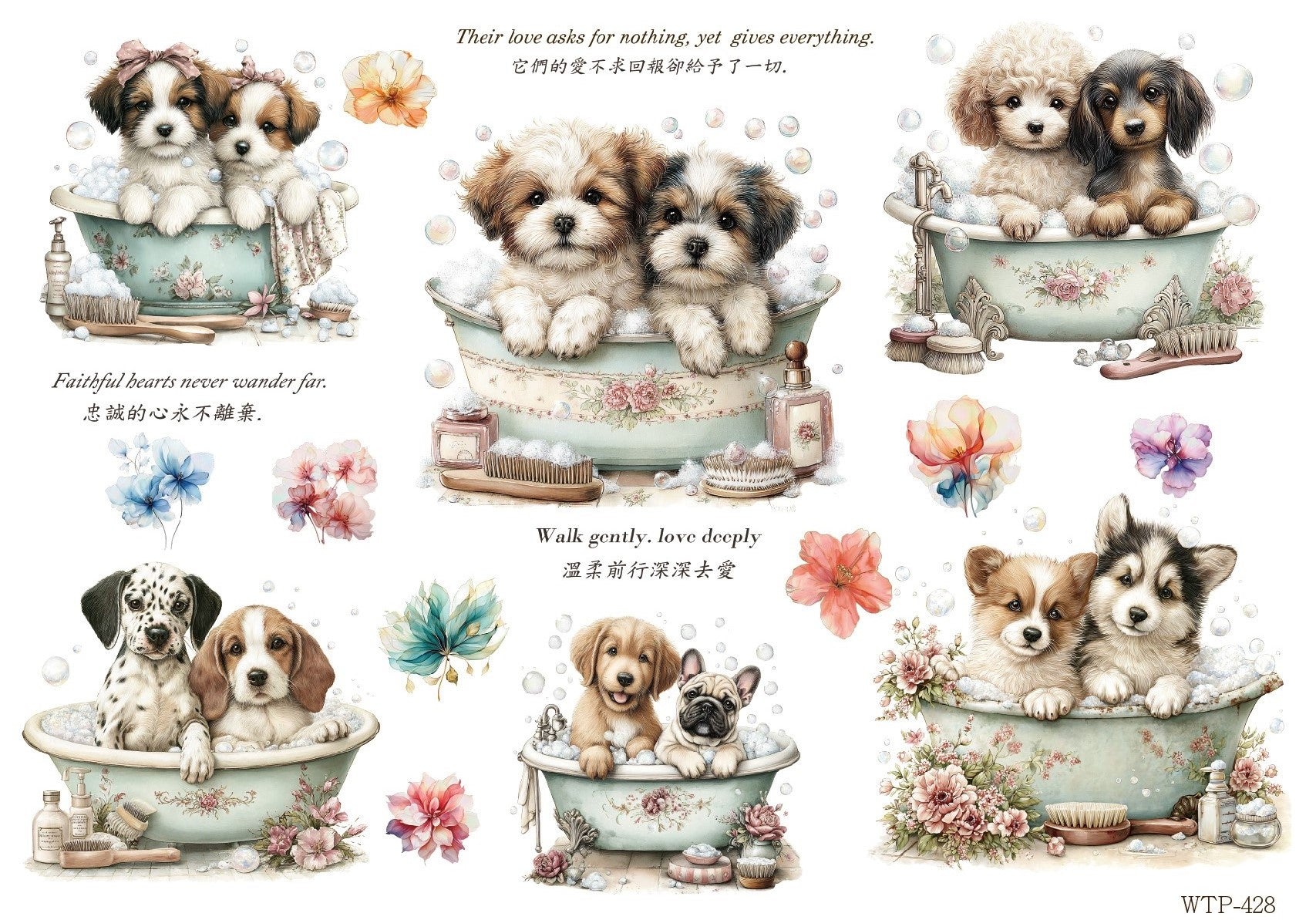 Wet Transfers A4- Puppy Bath Time