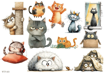 Wet Transfers A4- Quirky Cats
