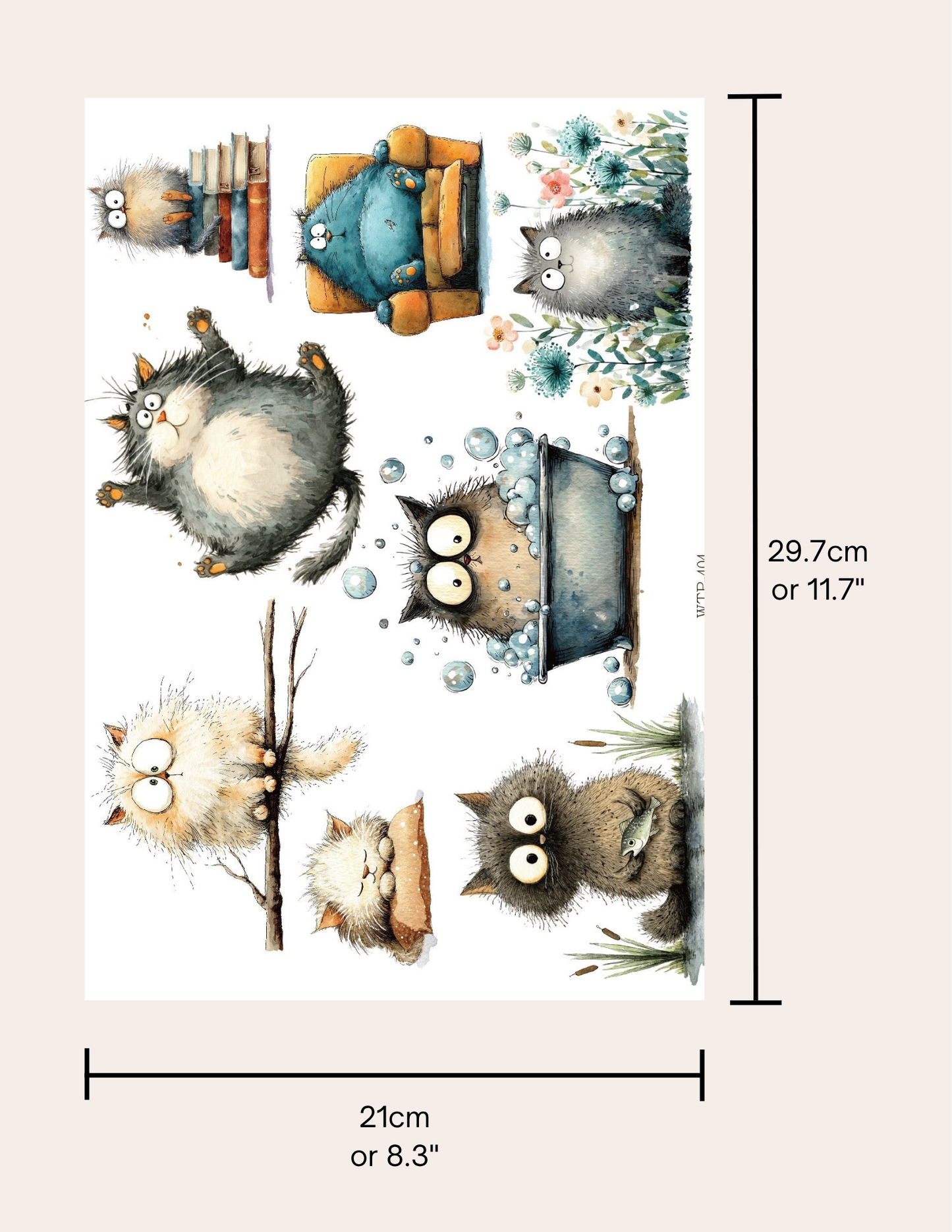 Wet Transfers A4- Silly Kitties