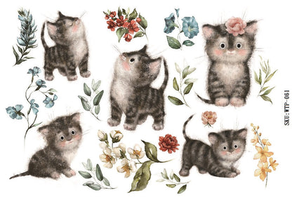 Wet Transfers A4- Tabby Kittens
