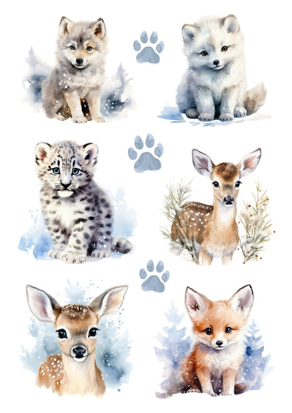 Wet Transfers A4- Winter Baby Animals