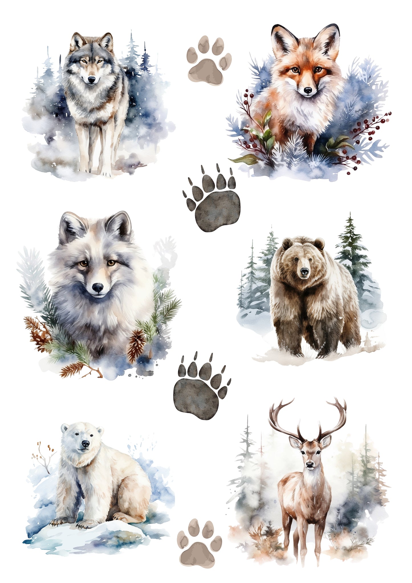 Wet Transfers A4- Winter Wildlife