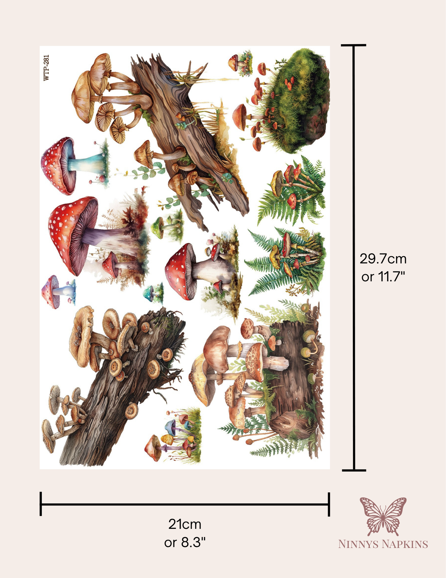 Wet Transfers A4- Forest Mushrooms