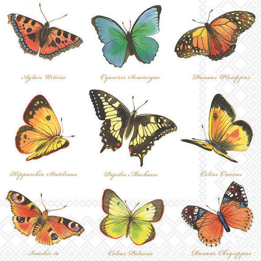Decoupage Napkins 6.5" - Collection of Butterflies