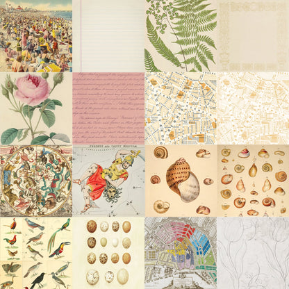 Ephemera Patterned Paper Pack