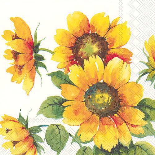 Decoupage Napkin Value Bundle - Sunflowers