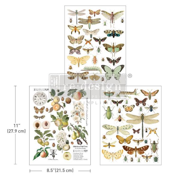 Re-Design with Prima Middy Transfers 8.5"X11" 3/Sheets - Bug Whisperer