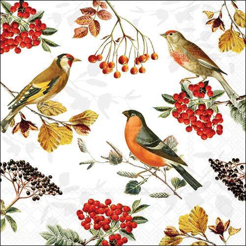 Decoupage Napkins 6.5" - Autumn Birds