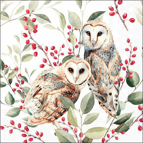 Decoupage Napkins 6.5" - Barn Owl Couple