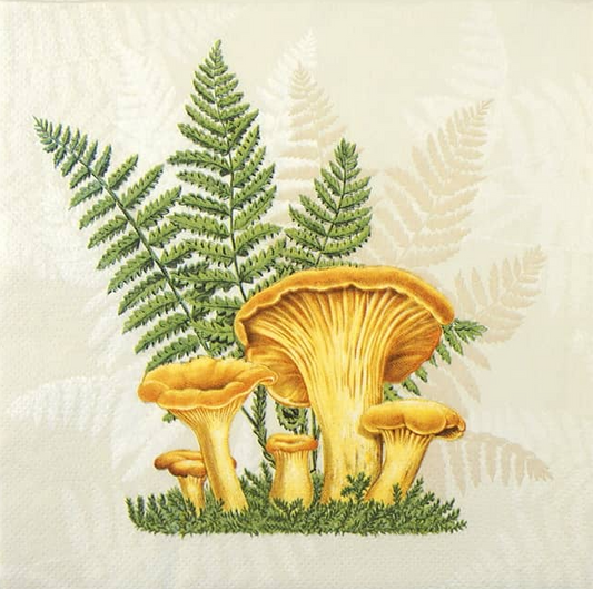 Decoupage Napkins 6.5" (2pcs)- Mushrooms