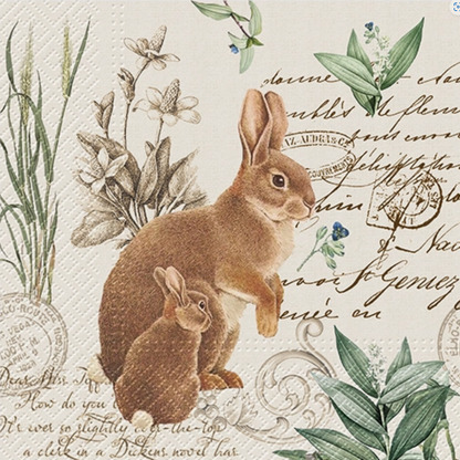 Decoupage Napkins 6.5" - Mystery Bunny