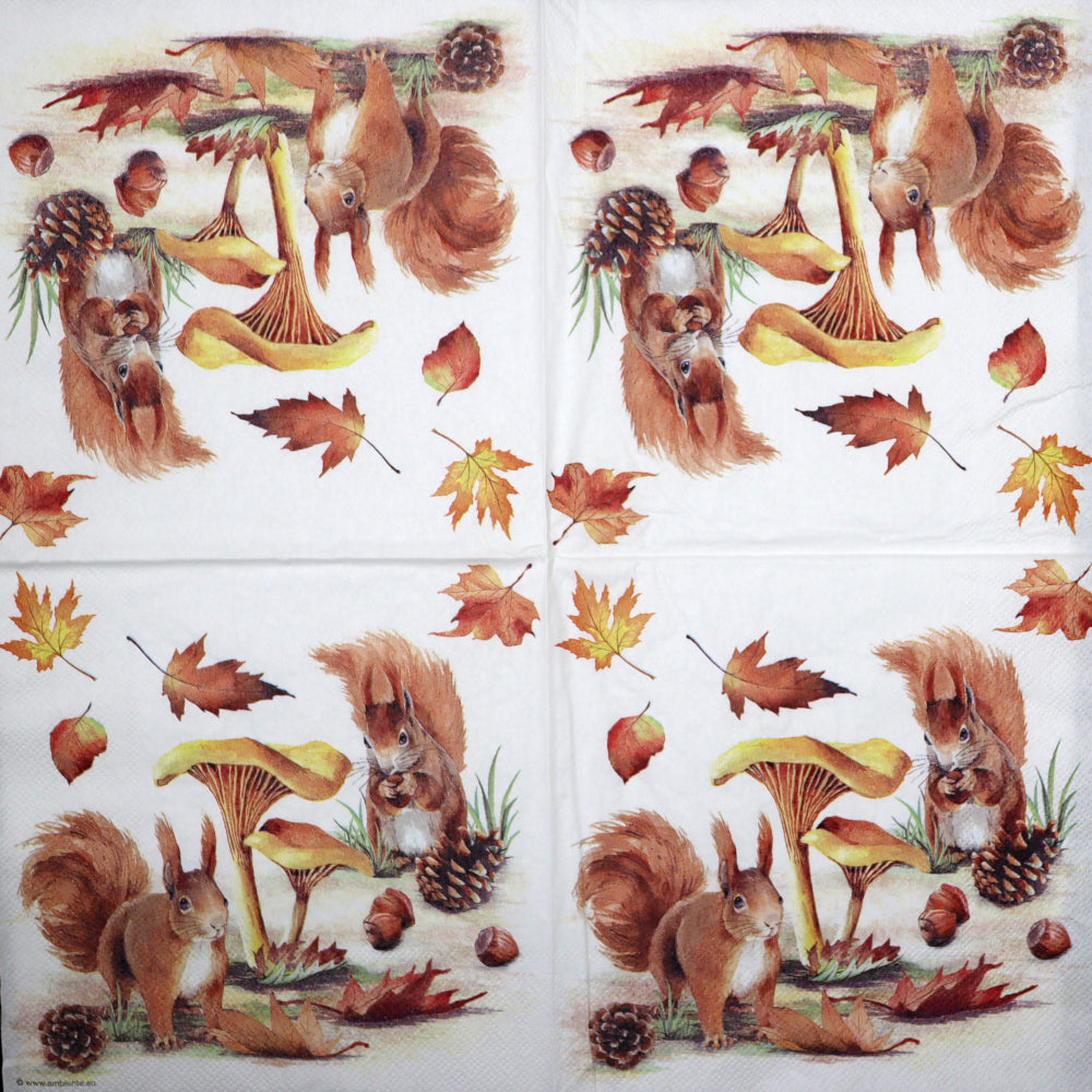 Decoupage Napkins 6.5" - Squirrels Go Nuts