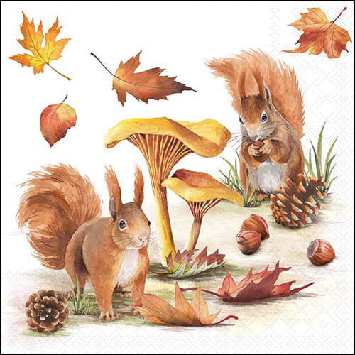 Decoupage Napkins 6.5" - Squirrels Go Nuts