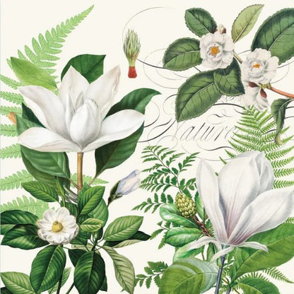 Decoupage Napkins 6.5" - Magnolia Petals