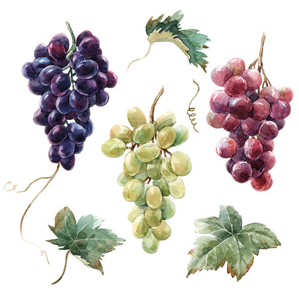 Decoupage Napkins 6.5" - Wine Grapes