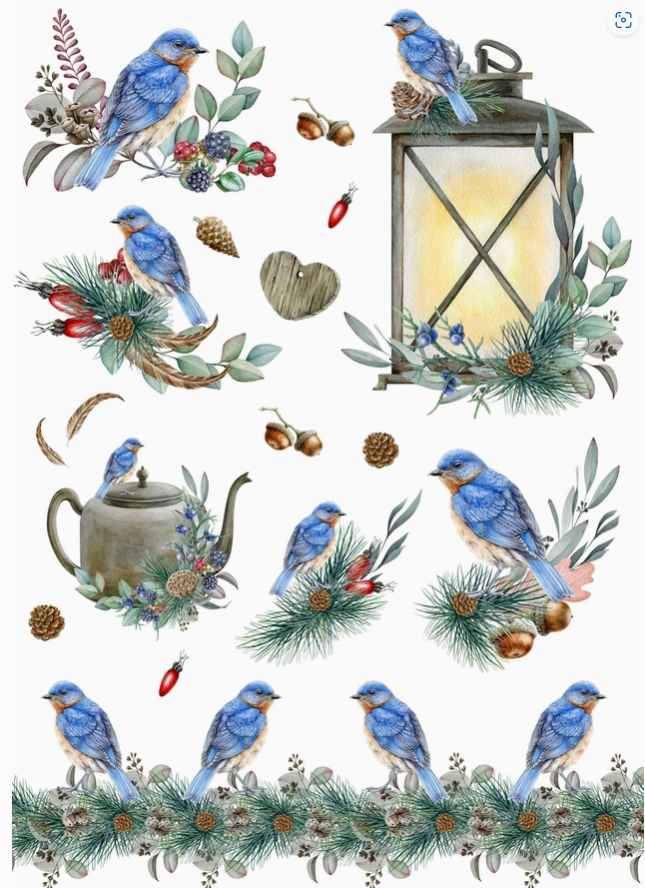 European Excellency Decoupage Rice Paper A4 - Eastern Bluebird