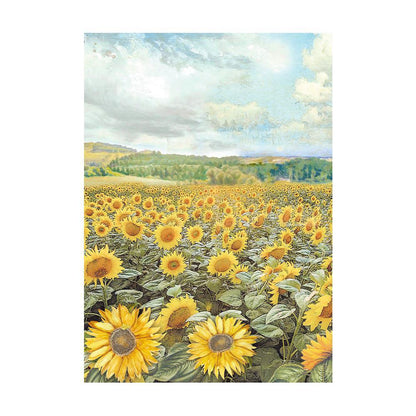 Stamperia Rice Paper A6 Value Pack- Sunflower Art
