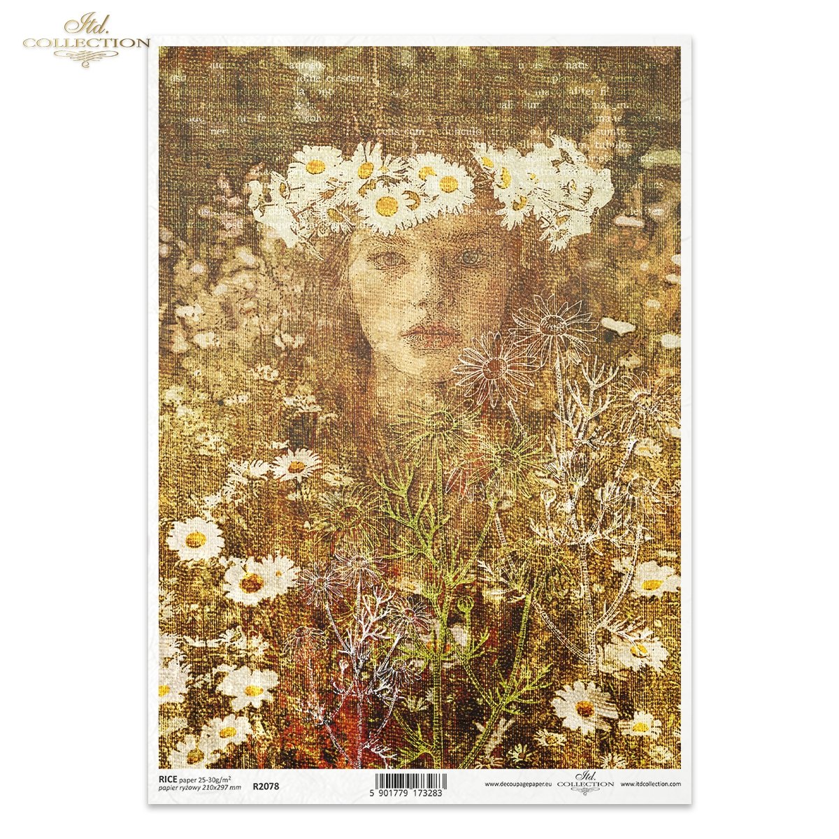 Decoupage Rice Paper - Herbalist Canvas