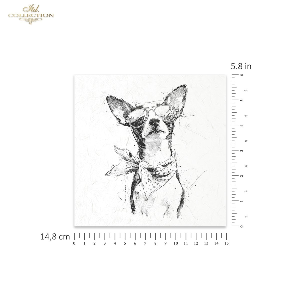 Decoupage Rice Paper Mini Set - Funky Pets