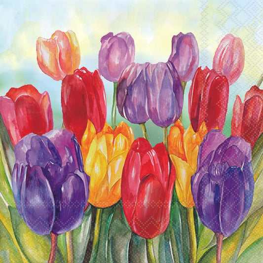 Decoupage Napkins 6.5" - Colourful Tulips