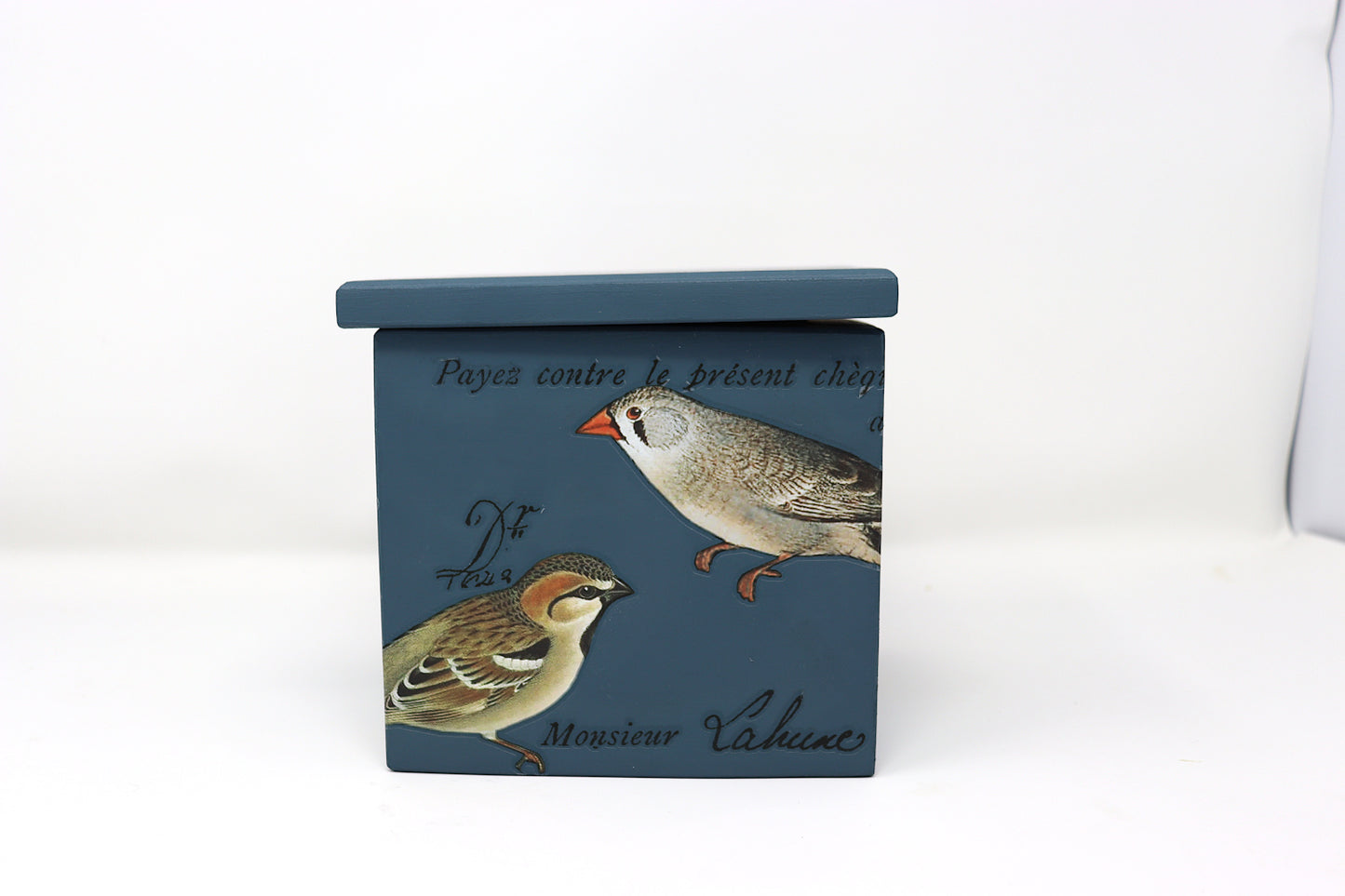 Ornithology Pine Box 