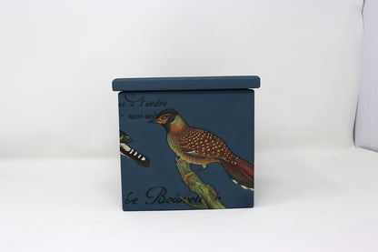 Ornithology Pine Box 