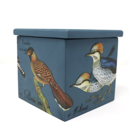 Ornithology Pine Box 