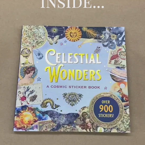 Celestial Wonders Sticker Book flip through
