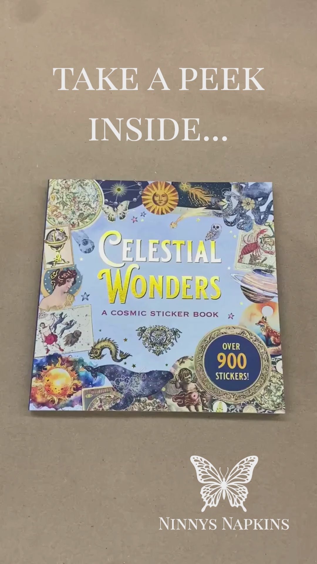 Celestial Wonders Sticker Book flip through