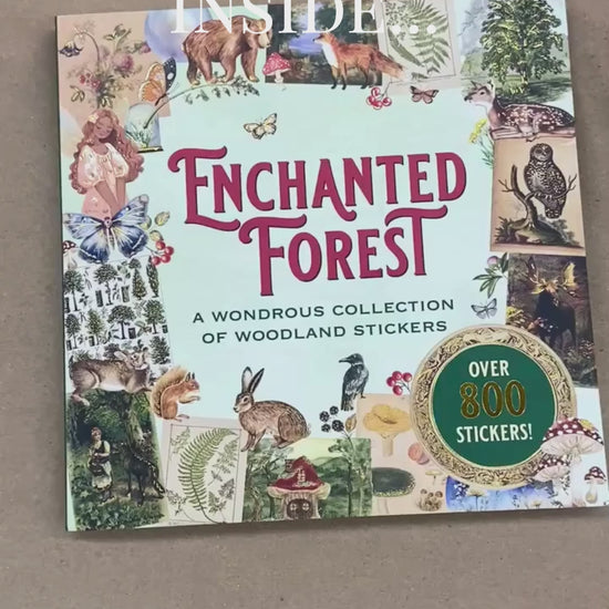 Enchanted Forest Sticker Book flip through