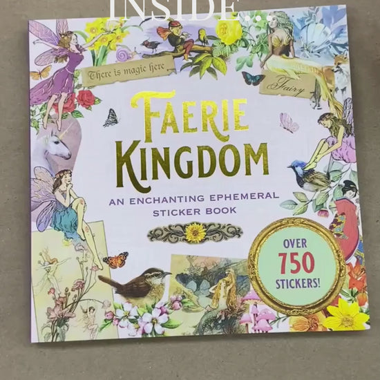 Faerie Kingdom Sticker Book flip through