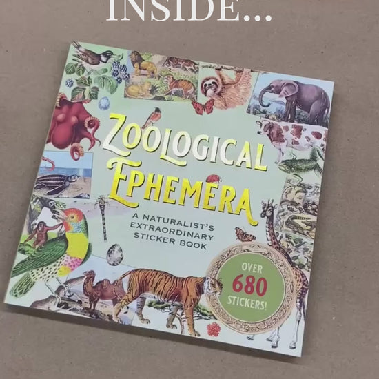 Zoological Ephemera Sticker Book flip through