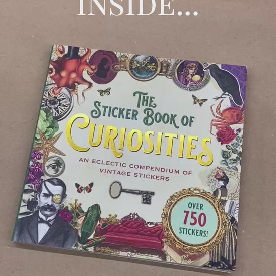 The Sticker Book of Curiosities flip through