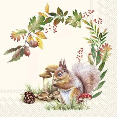 Decoupage Napkins 6.5"- Squirrel in the Forest