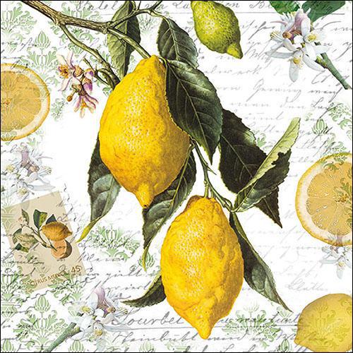 Decoupage Napkins 6.5" - Lemon