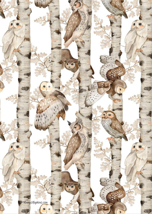 Ninny's Rice Paper A4 - Owl Birch Pattern