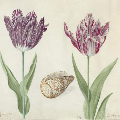 Decoupage Napkins 6.5" - Tulips