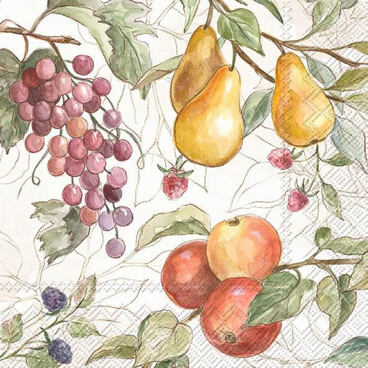 Decoupage Napkins 5" (2pcs)- Country Fruits
