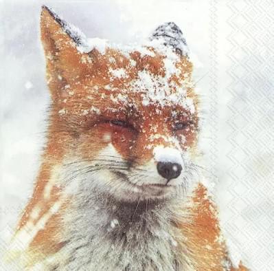 Decoupage Napkins 6.5"- Winter Fox