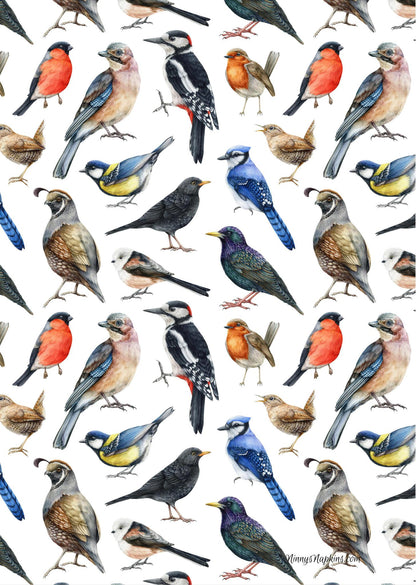 Ninny's Rice Paper A4 Value Pack of 8 - Backyard Birds Part 2