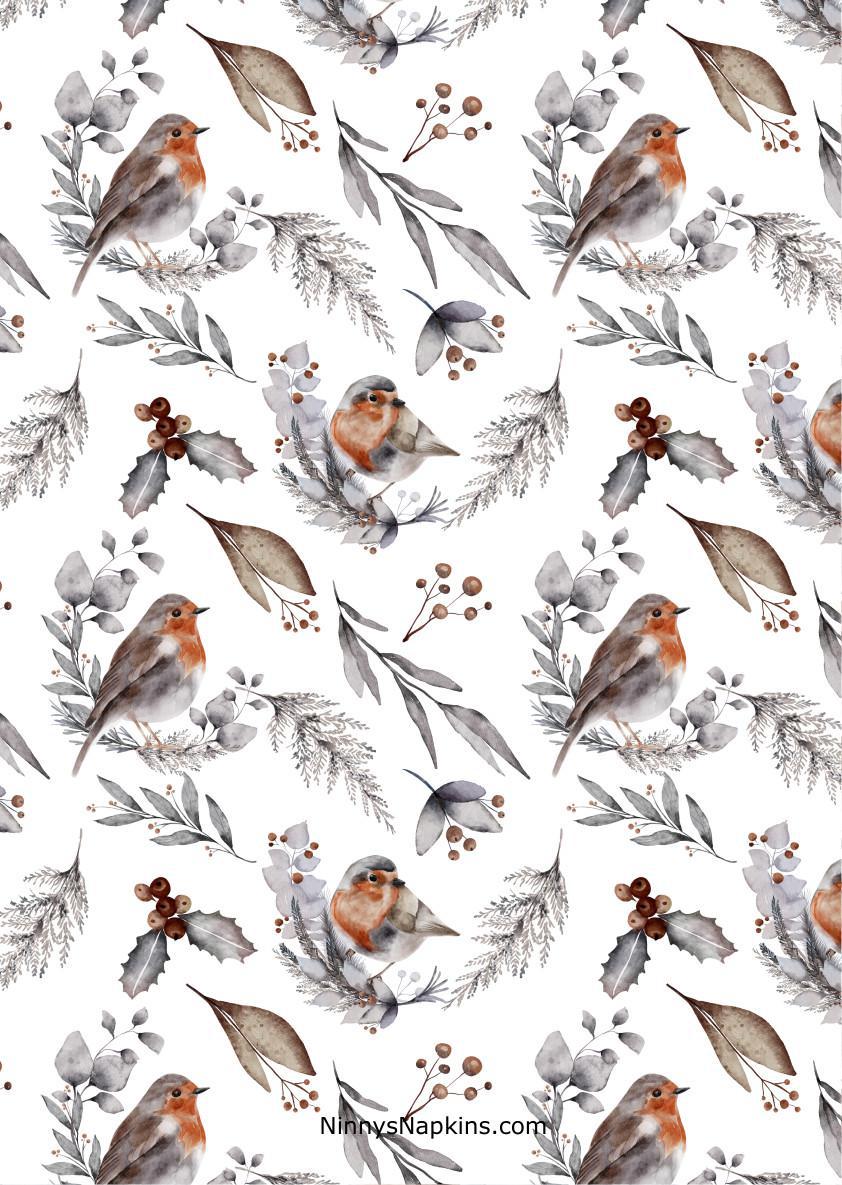 Ninny's Rice Paper A4 - Winter Robins