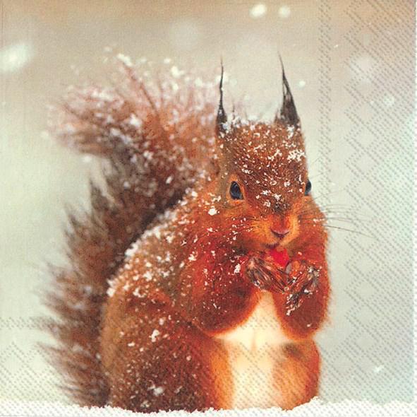 Decoupage Napkins 6.5"- Winter Squirrel